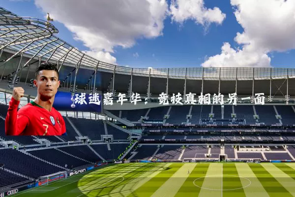 球迷嘉年华:竞技真相的另一面