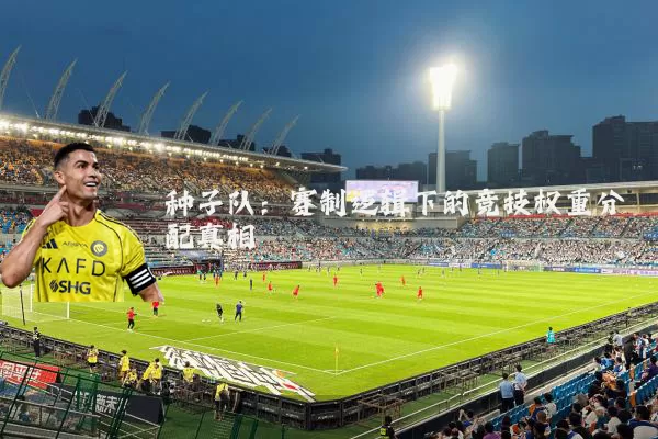 种子队:赛制逻辑下的竞技权重分配真相